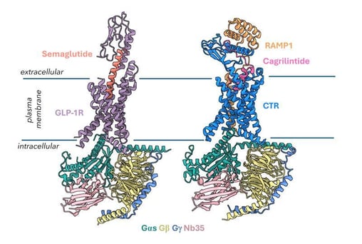 6a1ca86d-59d9-460b-b844-7a34a7127b03