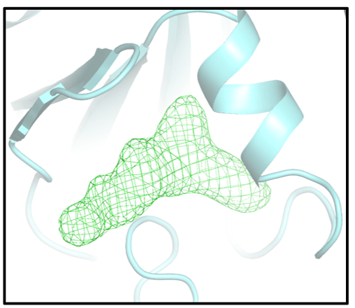 Screenshot 2025-10-13 100250