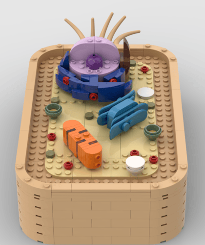 cell_overview